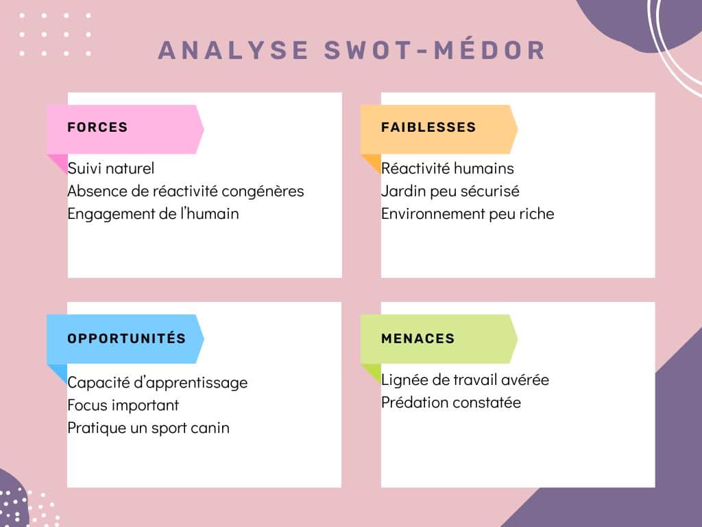 Graphique analyse SWOT